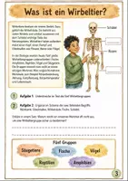 Vorschau - Unterrichtsreihen - Wirbeltiergruppen im Vergleich – Wochenplan & Freiarbeit Klasse 5-6 - Seite 2