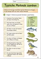 Vorschau - Unterrichtsreihen - Wirbeltiergruppen im Vergleich – Wochenplan & Freiarbeit Klasse 5-6 - Seite 3