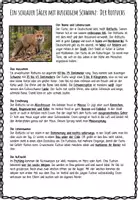 Vorschau - Arbeitsblätter - Sachtexte erschließen - Waldtiere - Lerntheke - Seite 3