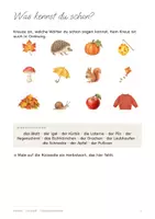Vorschau - Stationenlernen - Herbst Lernheft 16 Seiten / Wortschatz Artikel Silben / Schreiben Klasse 1 und 2 / DaZ Deutsch Grundschule - Seite 1