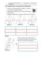 Vorschau - Stundenentwürfe - Fragestellungen und mathematische Bedingungen | Oberstufe | Mathematik - Seite 3