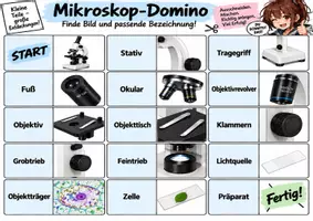 Vorschau - Spiele - Mikroskop Dominospiel - Seite 1
