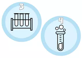 Vorschau - Poster - Schaubild für den Chemieraum - das Versuchsprotokoll - Seite 2