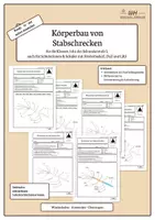 Vorschau - Arbeitsblätter - Stabschrecken - Körperbau | Biologie Klasse 5/6 | 3-fach differenziert - Deckblatt