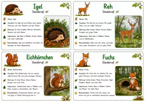 Vorschau - Arbeitsblätter - Sommerschule – Tag 8 | Waldtiere entdecken, erforschen & rechnen | Klasse 3 - Seite 3