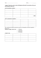 Vorschau - Arbeitsblätter - Vierfeldertafel& Baumdiagramm - Seite 2