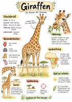 Vorschau - Arbeitsblätter - Lernplakat + Arbeitsblätter "Giraffen" + Lösung & MP3 + Mindmap + Infografik - Deckblatt