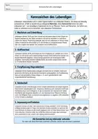 Vorschau - Stundenentwürfe - Kennzeichen des Lebendigen – Unterrichtsmaterial mit Alien-Einstieg, Verlaufsplan, Arbeitsblättern & Lösungen - Seite 1