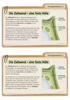 Vorschau - Arbeitsblätter - Pflanzenzelle - Forscherakten und AB (Kl. 5-7) - Seite 2
