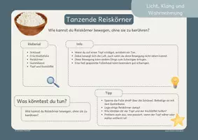 Vorschau - Stationenlernen - Experimente Grundschule: Licht, Schall & Wahrnehmung | 12 Forscherkarten für den Sachunterricht - Seite 2
