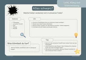 Vorschau - Stationenlernen - Experimente Grundschule: Licht, Schall & Wahrnehmung | 12 Forscherkarten für den Sachunterricht - Seite 3