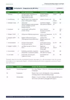 Vorschau - Stundenentwürfe - Sprachmittlung Algorithmen Englisch 4/6 - Seite 3
