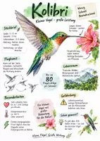 Vorschau - Arbeitsblätter - Lernplakat + Arbeitsblätter "Kolibri" + Lösung & MP3 + Mindmap + Infografik - Deckblatt