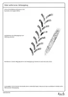 Vorschau - Arbeitsblätter - Einführung Gleitspiegelung / Schubspiegelung - Seite 2