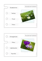 Vorschau - Stationenlernen - Frühblüher Stöpselkasten - Seite 3