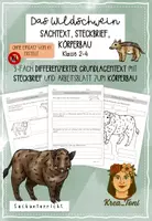 Vorschau - Arbeitsblätter - Wildschwein Sachunterricht Klasse 2–4 - Deckblatt