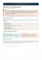 Vorschau - Fördermaterial/Inklusion - Brainys Atem-Ballon: Gratis Atemkarte - Seite 2