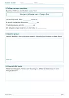 Vorschau - Arbeitsblätter - Arbeitsblatt Religion Klasse 4 – Die Bergpredigt Jesu - Seite 2