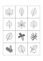 Vorschau - Spiele - Bäume und Blätter Legespiel schwarzweiß 48 Karten / Blatt und Baum zuordnen zum Ausmalen / 24 Baumarten bestimmen / Sachunterricht Grundschule - Seite 3