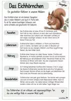 Vorschau - Arbeitsblätter - Sachtexte zu Tieren und Fragen dazu🐾 - Seite 1