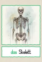 Vorschau - Fördermaterial/Inklusion - Halloween: Bild-und Wortkarten_DaZ/ DaF Wortschatz - Seite 2