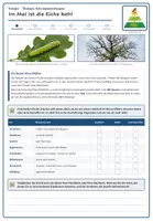 Vorschau - Arbeitsblätter - Ökologie: Nahrungsbeziehungen (Biologie Oberstufe) - Seite 2