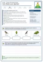 Vorschau - Arbeitsblätter - Ökologie: Nahrungsbeziehungen (Biologie Oberstufe) - Seite 3