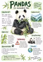Vorschau - Arbeitsblätter - Lernplakat + Arbeitsblätter "Pandas" + Lösung & MP3 + Infografik - Deckblatt