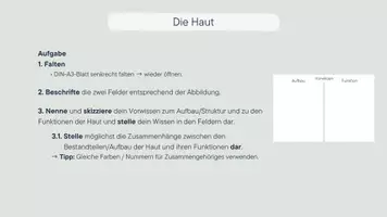 Vorschau - Stundenentwürfe - Die Haut - ES 1 - Vorwissen zur Haut - Klasse 9 - Seite 2