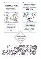 anteprima - Esercizi - LAPBOOK MISSIONE SCIENZA Metodo Scientifico e Discipline - Pagina 2