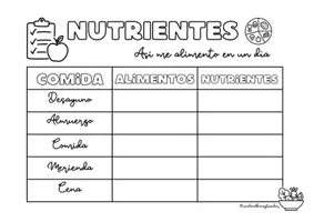 Vista previa - Hojas de trabajo - 🧠🫀 Así funciona mi cuerpo: nutrición, sistemas y aparatos - página 3