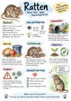 Vorschau - Arbeitsblätter - Lernplakat + Arbeitsblätter "Ratten" + Lösung & MP3 + Mindmap + Infografik - Deckblatt