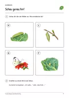 Vorschau - Arbeitsblätter - Von der Raupe zum Schmetterling: Deutsch Klasse 2, Leseheft, Bilder lesen, Wortschatz, Geschichten schreiben, Arbeitsblätter mit Lösungen - Seite 2