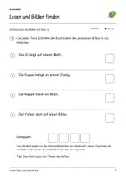 Vorschau - Arbeitsblätter - Von der Raupe zum Schmetterling: Deutsch Klasse 2, Leseheft, Bilder lesen, Wortschatz, Geschichten schreiben, Arbeitsblätter mit Lösungen - Seite 3