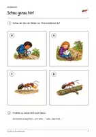 Vorschau - Arbeitsblätter - Ein Blick in die Ameisenwelt: Deutsch Klasse 2, Leseheft, Bilder lesen, Wortschatz, Geschichten schreiben, Arbeitsblätter mit Lösungen - Seite 2