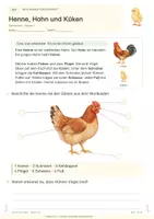 Vorschau - Stundenentwürfe - Vom Ei zum Huhn - Unterrichtsreihe mit Stationen & Projekt | Sachunterricht Klasse 2/3 - Seite 1