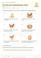 Vorschau - Stundenentwürfe - Vom Ei zum Huhn - Unterrichtsreihe mit Stationen & Projekt | Sachunterricht Klasse 2/3 - Seite 2