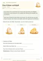 Vorschau - Stundenentwürfe - Vom Ei zum Huhn - Unterrichtsreihe mit Stationen & Projekt | Sachunterricht Klasse 2/3 - Seite 3
