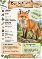 Vorschau - Merkblätter - Rotfuchs Steckbriefe 1. - 4. Klasse - Seite 1