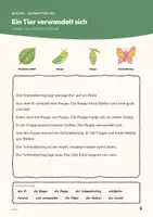 Vorschau - Stundenentwürfe - Vom Ei zum Schmetterling — Sachunterricht Klasse 1–2: Doppelstunde mit Bildkarten, 4 Arbeitsblättern und Lösungen - Seite 3