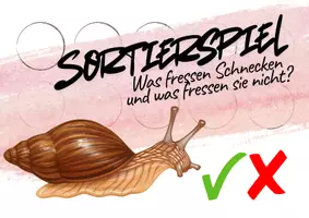 Vorschau - Spiele - Sortierspiel - Was frisst die Schnecke und was nicht? - Deckblatt