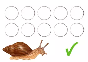 Vorschau - Spiele - Sortierspiel - Was frisst die Schnecke und was nicht? - Seite 1