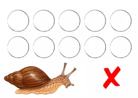 Vorschau - Spiele - Sortierspiel - Was frisst die Schnecke und was nicht? - Seite 3