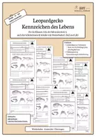 Vorschau - Arbeitsblätter - Leopardgecko – Kennzeichen des Lebens | Biologie Klasse 5/6 | 4-fach differenziert - Deckblatt