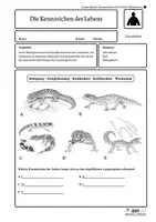 Vorschau - Arbeitsblätter - Leopardgecko – Kennzeichen des Lebens | Biologie Klasse 5/6 | 4-fach differenziert - Seite 2