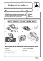 Vorschau - Arbeitsblätter - Achatschnecken – Kennzeichen des Lebens | Biologie Klasse 5/6 | 4-fach differenziert - Seite 3