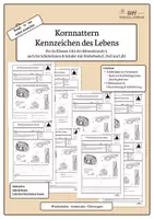 Vorschau - Arbeitsblätter - Kornnatter – Kennzeichen des Lebens | Biologie Klasse 5/6 | 4-fach differenziert - Deckblatt