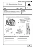 Vorschau - Arbeitsblätter - Kornnatter – Kennzeichen des Lebens | Biologie Klasse 5/6 | 4-fach differenziert - Seite 2