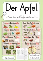 Vorschau - Arbeitsblätter - Apfel Klasse 1 Sachunterricht - Deckblatt