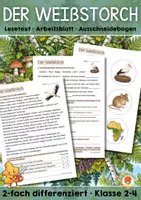 Vorschau - Arbeitsblätter - Lesetext mit Arbeitsblatt - Der Weißstorch (Klasse 2-4) - Deckblatt